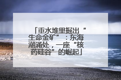 重水堆里掘出“生命金矿”：东海潮涌处，一座“核药硅谷”的崛起