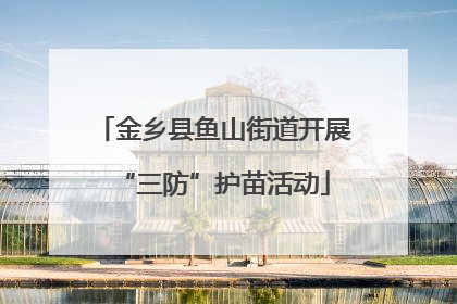 金乡县鱼山街道开展“三防”护苗活动