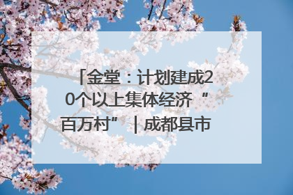 金堂：计划建成20个以上集体经济“百万村”｜成都县市新城高质量发展