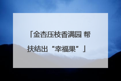 金杏压枝香满园 帮扶结出“幸福果”
