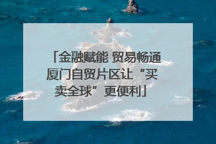 金融赋能 贸易畅通 厦门自贸片区让“买卖全球”更便利