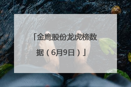 金鹰股份龙虎榜数据（6月9日）
