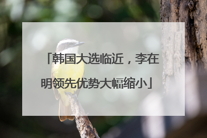 韩国大选临近，李在明领先优势大幅缩小