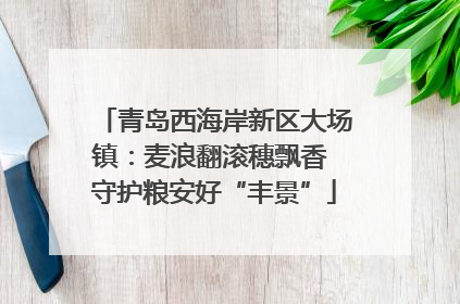 青岛西海岸新区大场镇：麦浪翻滚穗飘香 守护粮安好“丰景”