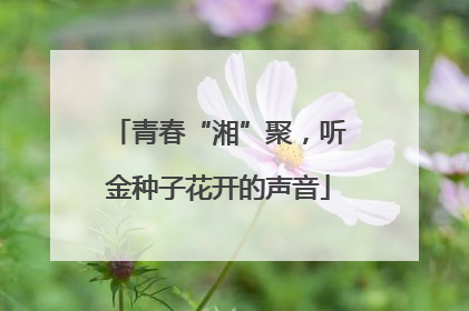 青春“湘”聚，听金种子花开的声音