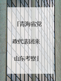 青海省党政代表团来山东考察