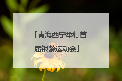 青海西宁举行首届银龄运动会