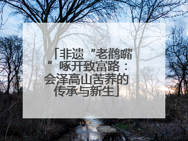 非遗“老鹳嘴”啄开致富路：会泽高山苦荞的传承与新生