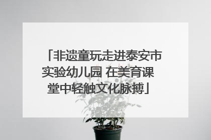 非遗童玩走进泰安市实验幼儿园 在美育课堂中轻触文化脉搏