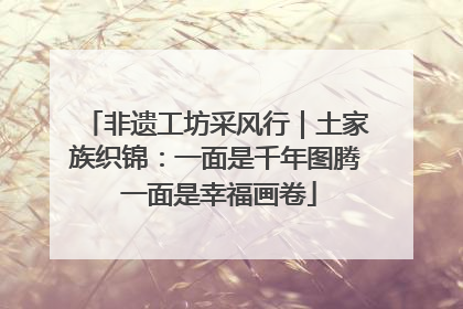 非遗工坊采风行｜土家族织锦：一面是千年图腾 一面是幸福画卷