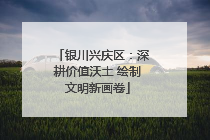 银川兴庆区：深耕价值沃土 绘制文明新画卷