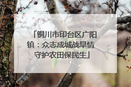 铜川市印台区广阳镇：众志成城战旱情 守护农田保民生