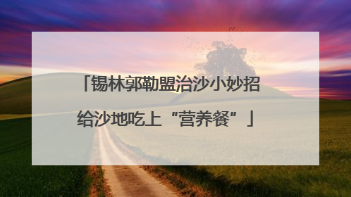 锡林郭勒盟治沙小妙招 给沙地吃上“营养餐”