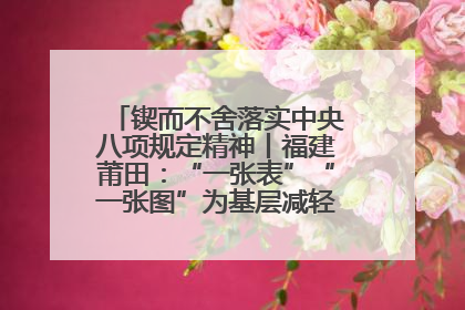 锲而不舍落实中央八项规定精神丨福建莆田：“一张表”“一张图”为基层减轻“数字负担”