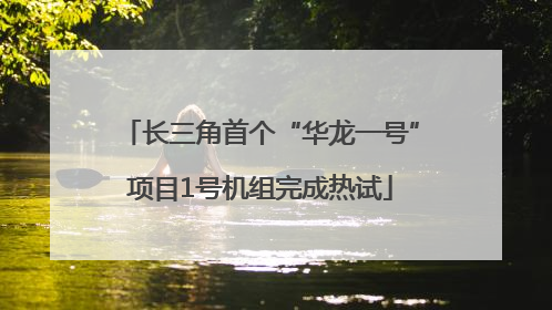 长三角首个“华龙一号”项目1号机组完成热试