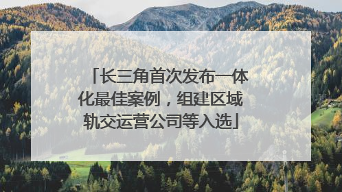 长三角首次发布一体化最佳案例，组建区域轨交运营公司等入选