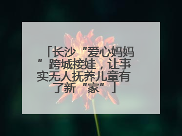 长沙“爱心妈妈”跨城接娃，让事实无人抚养儿童有了新“家”