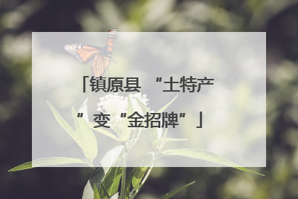 镇原县 “土特产”变“金招牌”