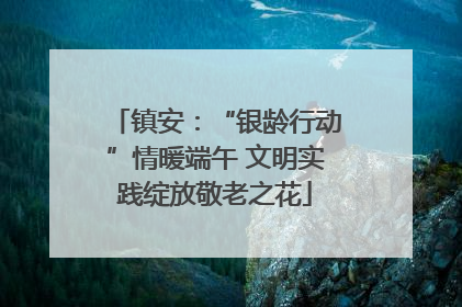 镇安：“银龄行动”情暖端午 文明实践绽放敬老之花