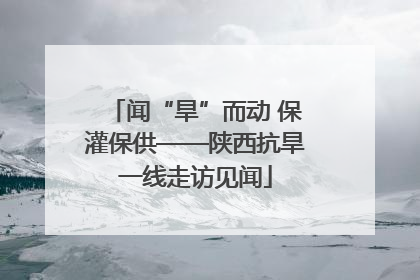 闻“旱”而动 保灌保供——陕西抗旱一线走访见闻