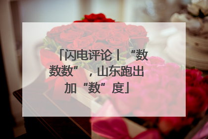 闪电评论丨“数数数”，山东跑出加“数”度