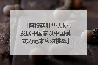 阿根廷驻华大使：发展中国家以中国模式为范本应对挑战