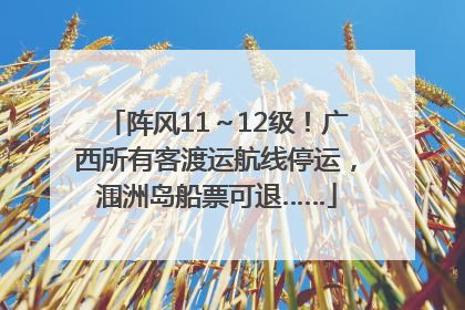 阵风11～12级！广西所有客渡运航线停运，涠洲岛船票可退……