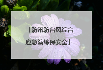 防汛防台风综合应急演练保安全