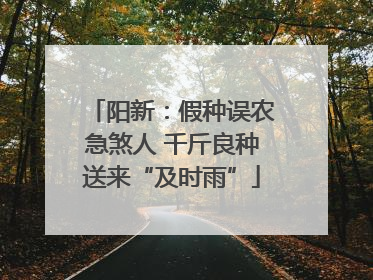 阳新：假种误农急煞人 千斤良种送来“及时雨”