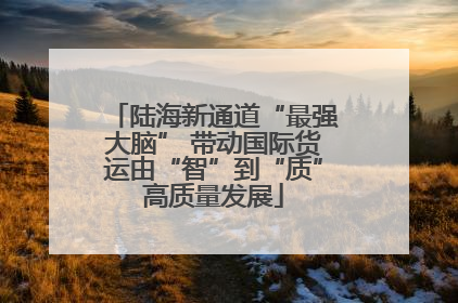 陆海新通道“最强大脑” 带动国际货运由“智”到“质”高质量发展