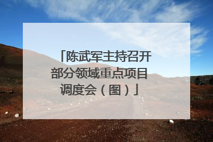 陈武军主持召开部分领域重点项目调度会（图）