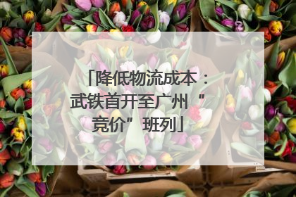 降低物流成本：武铁首开至广州“竞价”班列