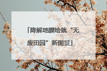 降解地膜绘就“无废田园”新图景
