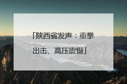 陕西省发声：重拳出击、高压震慑