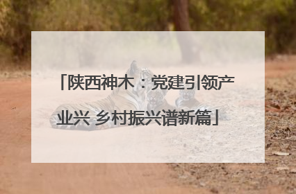 陕西神木：党建引领产业兴 乡村振兴谱新篇