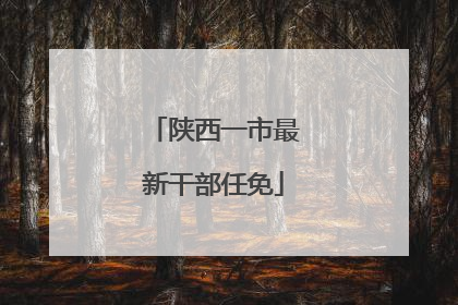 陕西一市最新干部任免