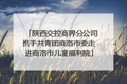 陕西交控商界分公司携手共青团商洛市委走进商洛市儿童福利院
