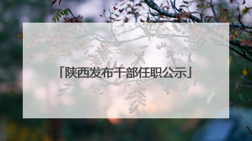 陕西发布干部任职公示