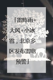 雷阵雨+大风+小冰雹，北京多区发布雷电预警