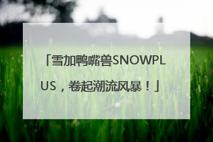 雪加鸭嘴兽SNOWPLUS，卷起潮流风暴！
