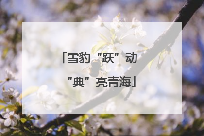 雪豹“跃”动 “典”亮青海