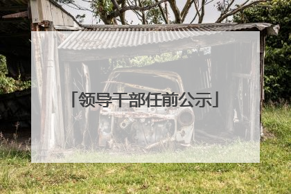 领导干部任前公示