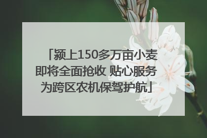 颍上150多万亩小麦即将全面抢收 贴心服务为跨区农机保驾护航