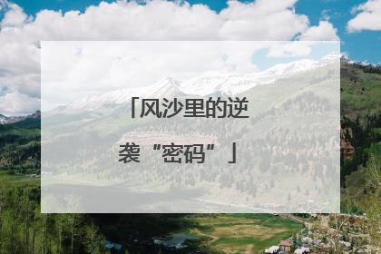 风沙里的逆袭“密码”
