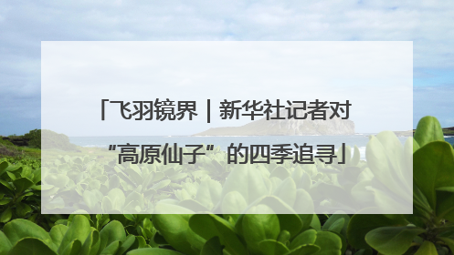 飞羽镜界｜新华社记者对“高原仙子”的四季追寻