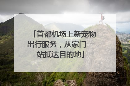 首都机场上新宠物出行服务，从家门一站抵达目的地