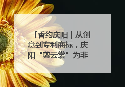 香约庆阳｜从创意到专利商标，庆阳“剪云裳”为非遗市场化探路