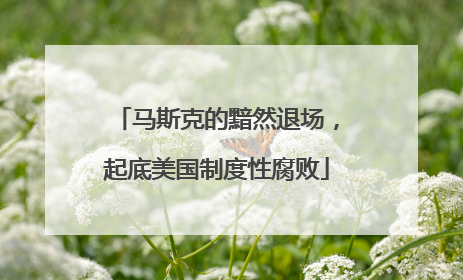 马斯克的黯然退场，起底美国制度性腐败