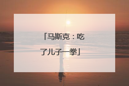 马斯克：吃了儿子一拳