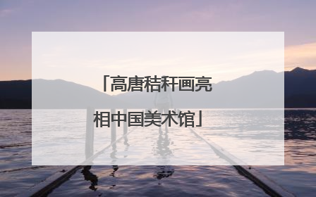 高唐秸秆画亮相中国美术馆